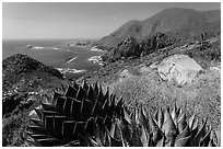 Mountainous Pacific coastline. Baja California, Mexico (black and white)