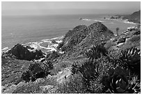 Succulent plants and Pacific coastline. Baja California, Mexico (black and white)