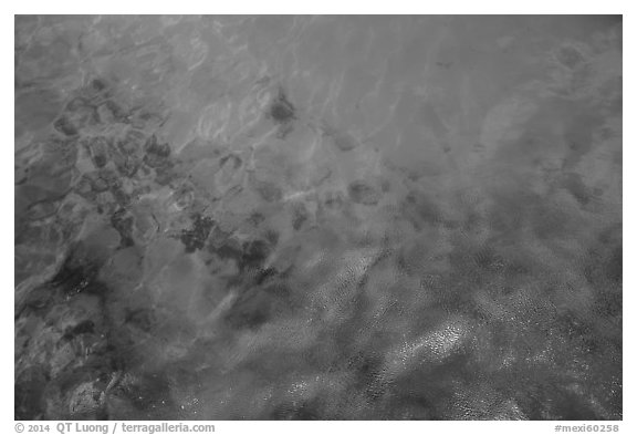 Clear blue water. Cozumel Island, Mexico (black and white)