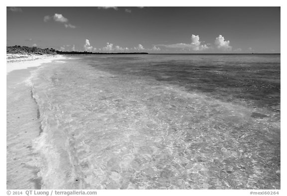 Beach with clear water. Cozumel Island, Mexico (black and white)