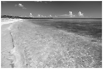 Beach with clear water. Cozumel Island, Mexico ( black and white)