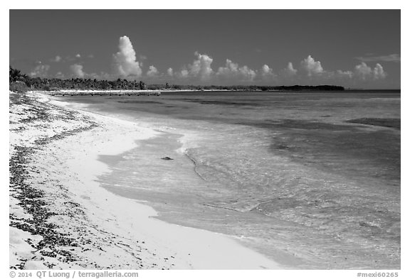 Sandy beach. Cozumel Island, Mexico (black and white)