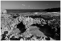 Sea arches, El Mirador. Cozumel Island, Mexico ( black and white)