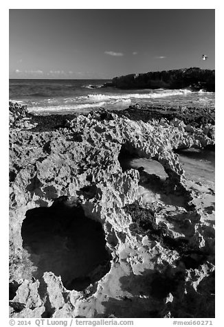 Rock with sea arches, El Mirador. Cozumel Island, Mexico (black and white)