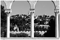 Spires and Mount of Olives seen through arches. Jerusalem, Israel ( black and white)