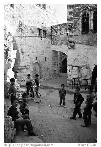 Group of children in old street, Hebron. West Bank, Occupied Territories (Israel)