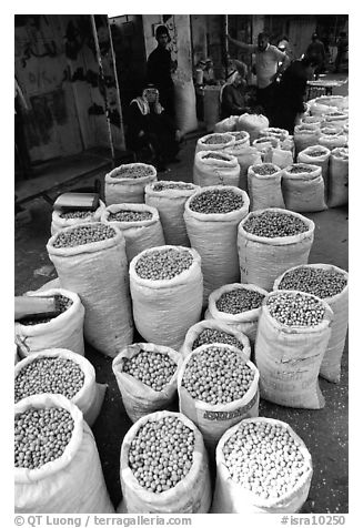 Freshly picked olives for sale, Hebron. West Bank, Occupied Territories (Israel) (black and white)