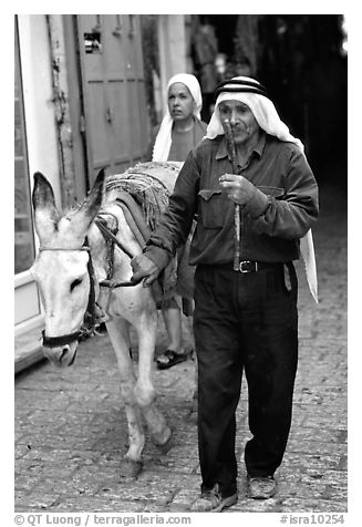 Arab man leading a donkey, Hebron. West Bank, Occupied Territories (Israel) (black and white)