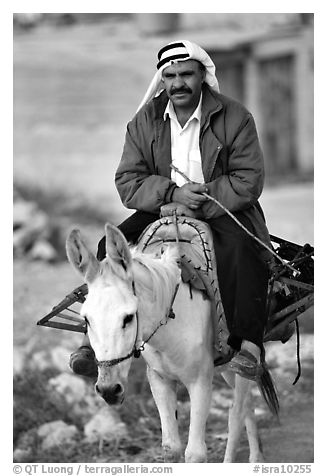 Arab man riding a donkey, Hebron. West Bank, Occupied Territories (Israel)