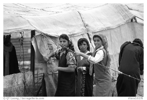 Bedouin women rearranging a tent's cover, Judean Desert. West Bank, Occupied Territories (Israel)