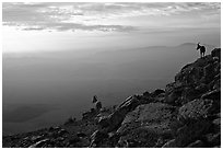 Ibex on the rim of Wadi Ruman (Maktesh Ramon) Crater, sunrise. Negev Desert, Israel ( black and white)