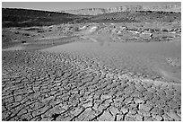Cracked mud and shallow pond, near Mitzpe Ramon. Negev Desert, Israel (black and white)