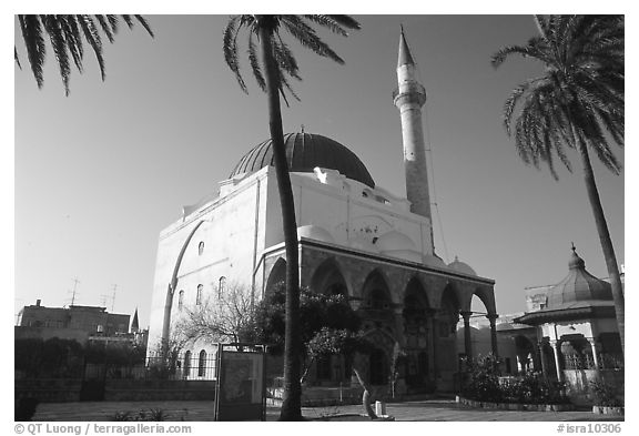 Mosque of El-Jazzar Pasha, Akko (Acre). Israel (black and white)