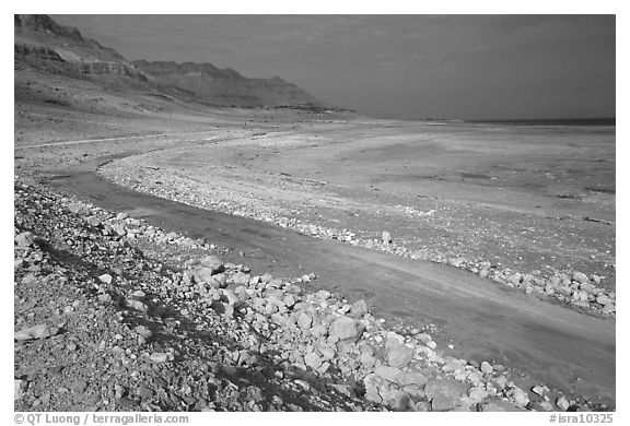 Shores of the Dead Sea. Israel (black and white)