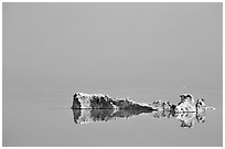 Salt formations reflected in the Dead Sea. Israel (black and white)