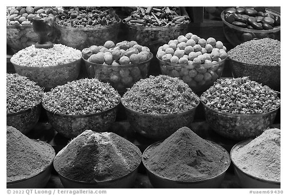 Spices, Deira Souk. United Arab Emirates (black and white)