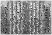 Burj Khalifa reflections. United Arab Emirates ( black and white)