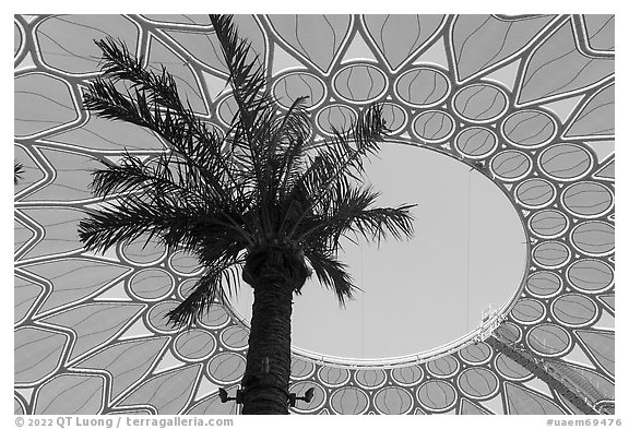 Looking up Al Wasl. Expo 2020, Dubai, United Arab Emirates