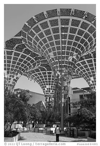 Floral-inspired shade structures in Mobility District. Expo 2020, Dubai, United Arab Emirates (black and white)
