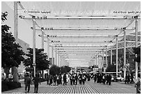 Walkway. Expo 2020, Dubai, United Arab Emirates ( black and white)