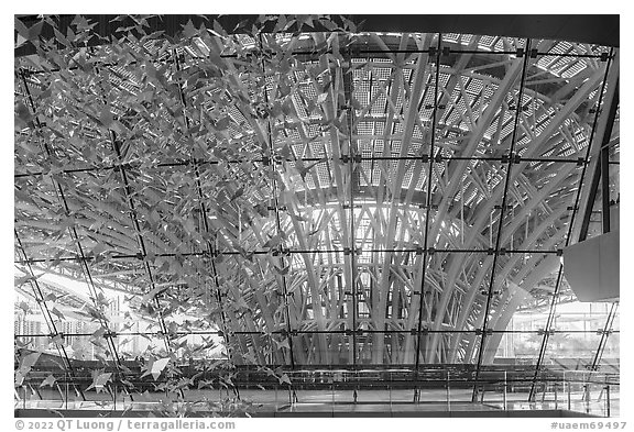 Looking out of the Sustainability Pavilion. Expo 2020, Dubai, United Arab Emirates