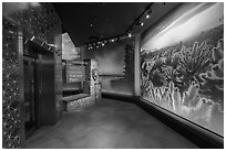 National Park Service sign and photos of national parks, USA Pavilion. Expo 2020, Dubai, United Arab Emirates ( black and white)