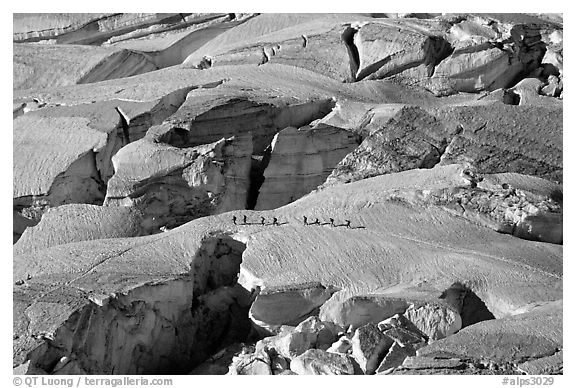 Party crosses a snow bridge in the upper Vallee Blanche in summer, Mont-Blanc range, Alps, France.