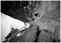 Climbers Frank and Alain climb thin ice in the Super-Couloir on Mt Blanc du Tacul, Mont-Blanc Range, Alps, France. (black and white)