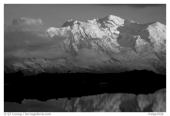 Mountain goats  in the Aiguilles Rouges and Mont-Blanc range at sunset, Alps, France.