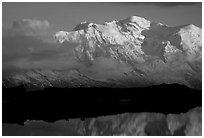 Mountain goats  in the Aiguilles Rouges and Mont-Blanc range at sunset, Alps, France. (black and white)