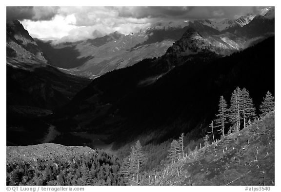 Val Veni,  Mont-Blanc range, Alps, Italy.