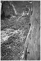 Valerio Folco and Tom McMillan on the crux pitch (second to last). El Capitan, Yosemite, California (black and white)