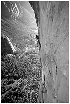 Valerio Folco at the belay, Tom McMillan cleaning the crux pitch. El Capitan, Yosemite, California (black and white)
