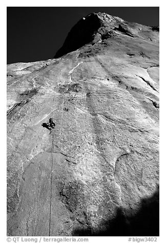 Jugging back to Sickle. Only 34 pitches to go !. El Capitan, Yosemite, California