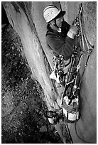 Traffic jam on the fixed pitches. El Capitan, Yosemite, California (black and white)