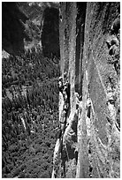 Belay on the third pitch of Mescalito, El Capitan. Yosemite, California (black and white)