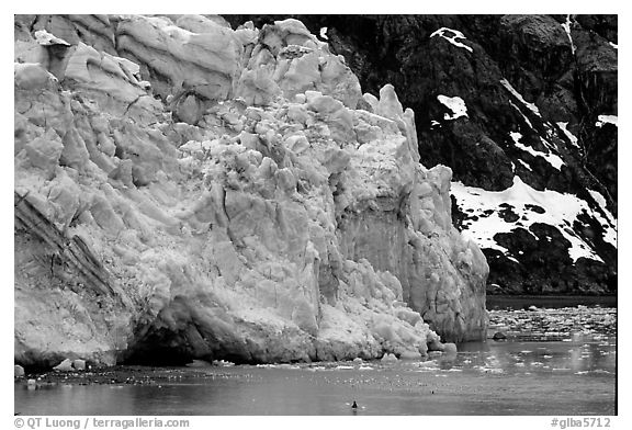 Kayaker dwarfed by Lamplugh Glacier. Glacier Bay National Park, Alaska