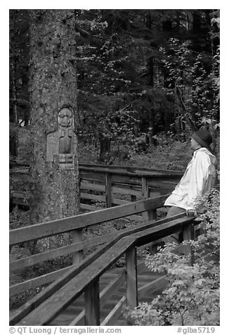 Hiker looking at a tree carved by native Tlingit indians, Bartlett Cove. Glacier Bay National Park, Alaska