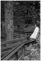 Hiker looking at a tree carved by native Tlingit indians, Bartlett Cove. Glacier Bay National Park, Alaska (black and white)