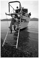 Kayaker comes down Glacier Bay Lodge concession boat for a drop-off. Glacier Bay National Park, Alaska (black and white)