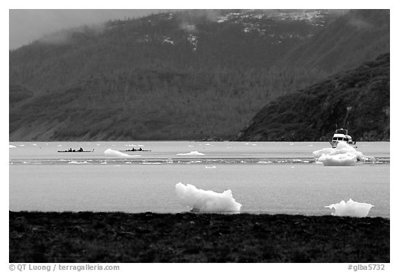 Taxi boat, kayaks, and icebergs near McBride Glacier. Glacier Bay National Park, Alaska