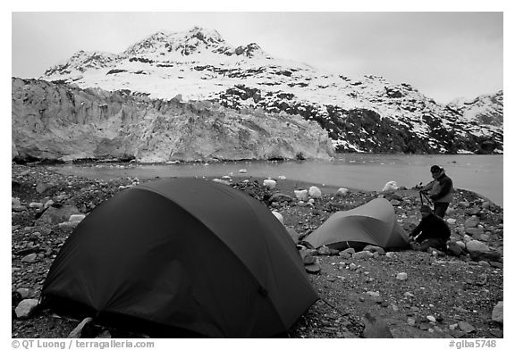 Campers set-up a tent in front of Lamplugh Glacier. Glacier Bay National Park, Alaska