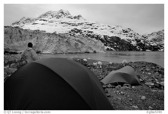 Park visitor looking, camp in front of Lamplugh Glacier. Glacier Bay National Park, Alaska