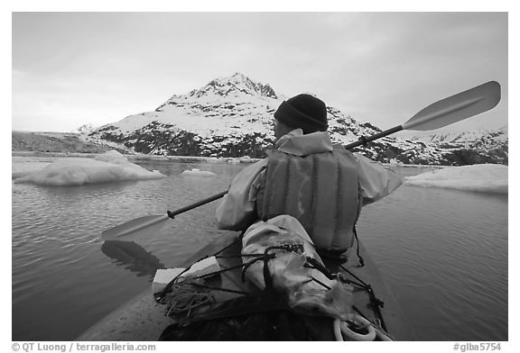 Kayaker paddling amongst icebergs near John Hopkins Inlet. Glacier Bay National Park, Alaska