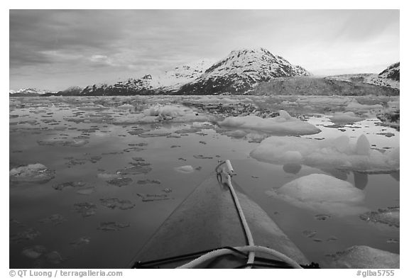 Kayak's prow, floating icebergs, and glacier. Glacier Bay National Park, Alaska