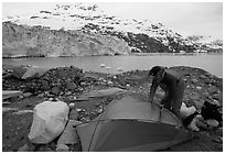 Setting up a tent in front of Lamplugh Glacier. Glacier Bay National Park, Alaska (black and white)