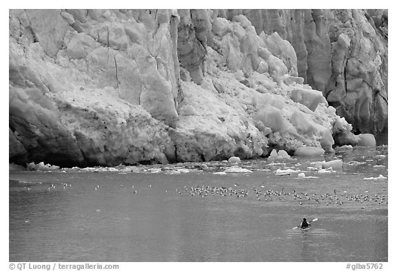 Kayaker at the base  of Lamplugh Glacier. Glacier Bay National Park, Alaska