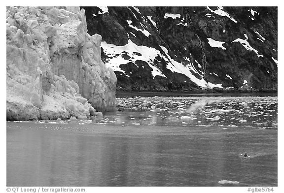 Kayaker paddling away from Lamplugh Glacier. Glacier Bay National Park, Alaska