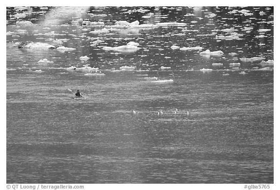 Kayaker paddling amongst icebergs. Glacier Bay National Park, Alaska