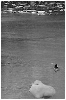 Kayaker and icebergs. Glacier Bay National Park, Alaska (black and white)